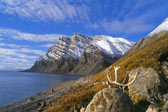North Baffin Autumn - Panoramic Print